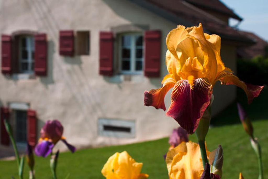 La Belle Saison Bed and Breakfast Mollens  Εξωτερικό φωτογραφία