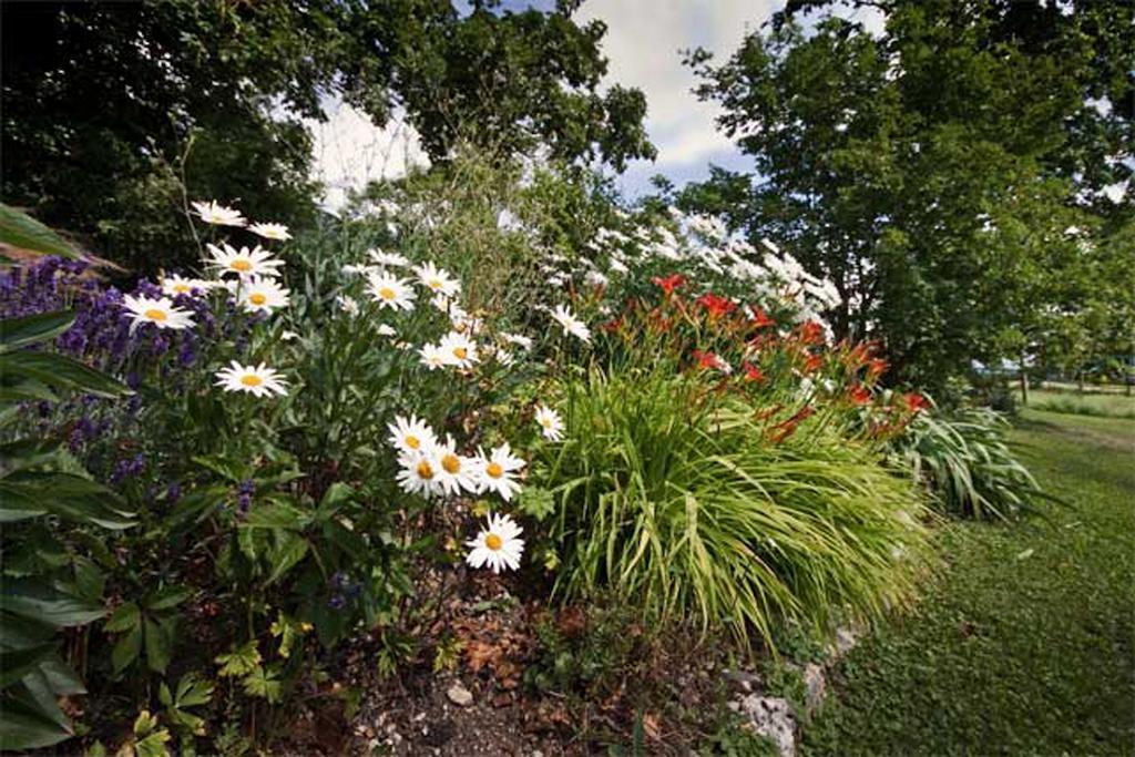 La Belle Saison Bed and Breakfast Mollens  Εξωτερικό φωτογραφία